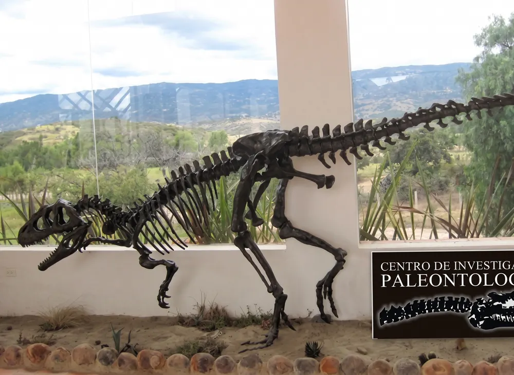 Museo Paleontológico